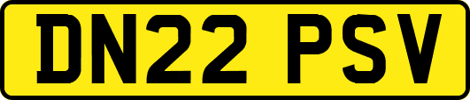 DN22PSV