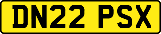 DN22PSX