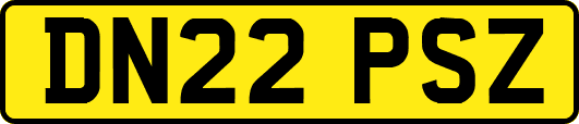 DN22PSZ