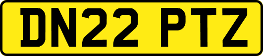 DN22PTZ
