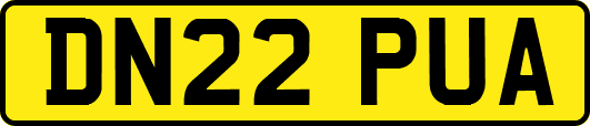 DN22PUA