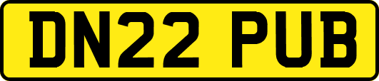 DN22PUB