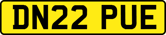 DN22PUE