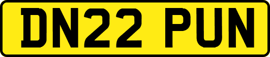 DN22PUN