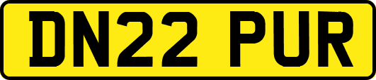 DN22PUR
