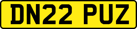 DN22PUZ