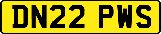 DN22PWS