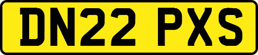 DN22PXS