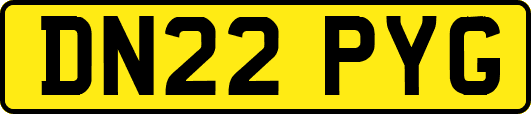 DN22PYG