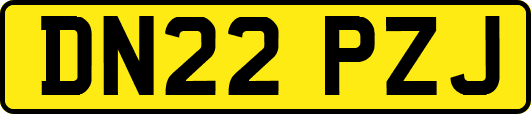 DN22PZJ