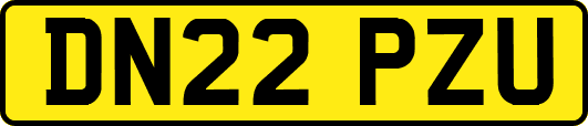 DN22PZU