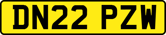 DN22PZW