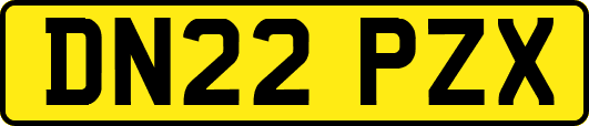 DN22PZX