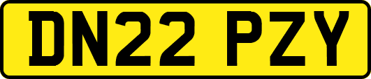 DN22PZY