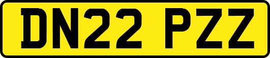 DN22PZZ