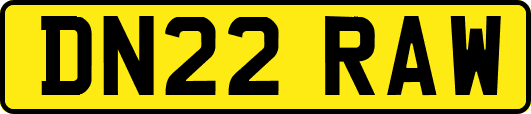 DN22RAW