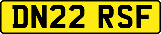 DN22RSF