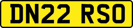 DN22RSO