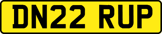 DN22RUP