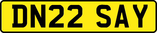 DN22SAY