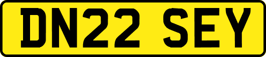 DN22SEY