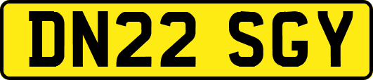 DN22SGY