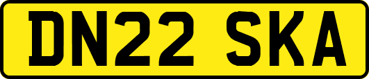 DN22SKA