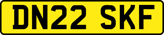 DN22SKF