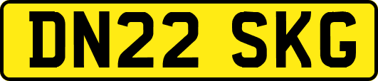 DN22SKG