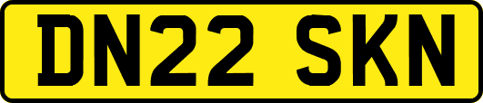 DN22SKN
