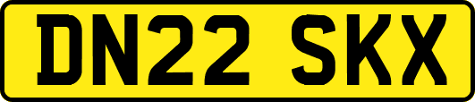 DN22SKX