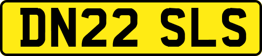 DN22SLS