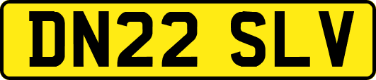 DN22SLV