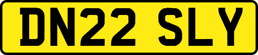 DN22SLY