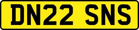 DN22SNS