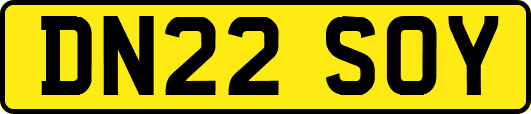DN22SOY