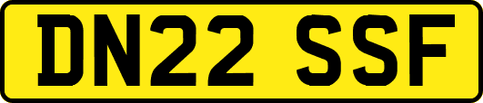 DN22SSF