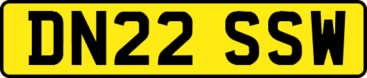 DN22SSW