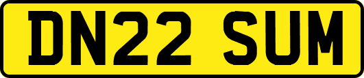 DN22SUM