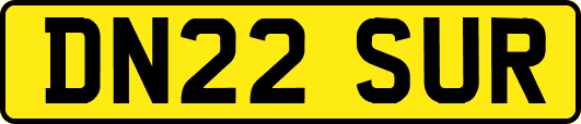 DN22SUR