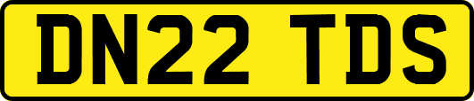 DN22TDS