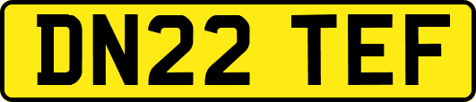 DN22TEF