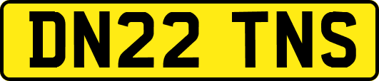 DN22TNS