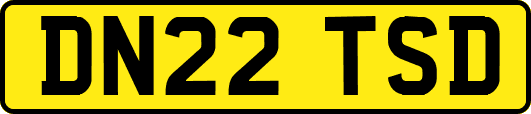 DN22TSD