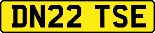 DN22TSE
