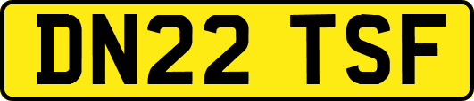 DN22TSF