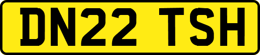 DN22TSH