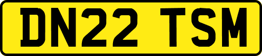 DN22TSM