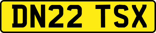 DN22TSX