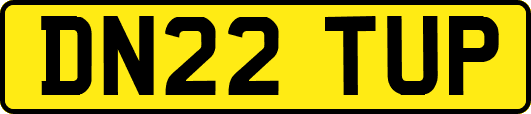 DN22TUP